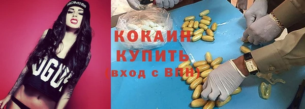 кокс Алексин