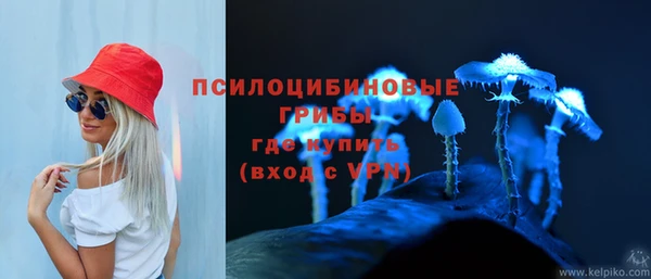амфетамин Алексеевка