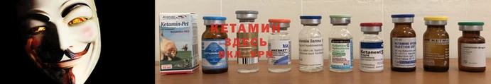 кокс Алексин